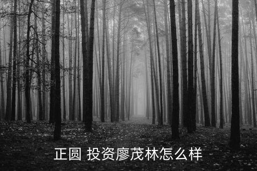 長(zhǎng)沙通程龍騰投資發(fā)展有限公司