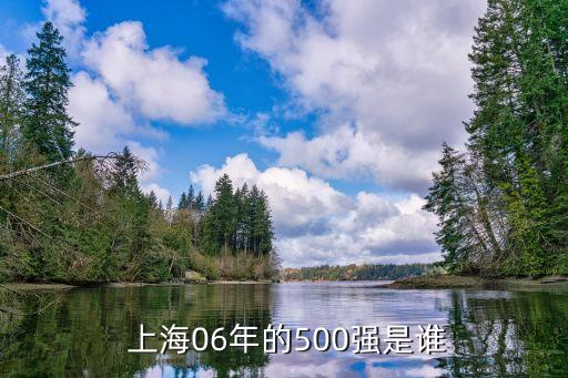  上海06年的500強(qiáng)是誰