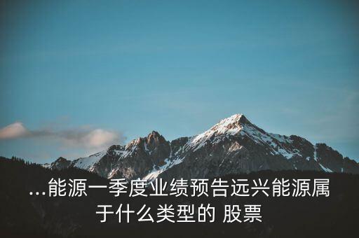 ...能源一季度業(yè)績預告遠興能源屬于什么類型的 股票