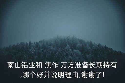 南山鋁業(yè)和 焦作 萬方準(zhǔn)備長期持有,哪個好并說明理由,謝謝了!