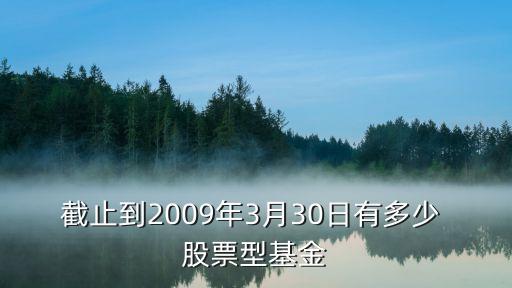 截止到2009年3月30日有多少 股票型基金