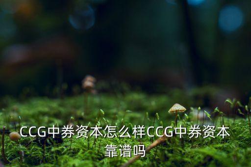 中長期投資與理財(cái)網(wǎng),投資與理財(cái)論文3000字