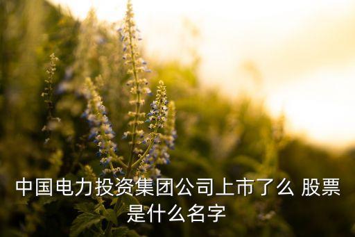 中國(guó)電力投資集團(tuán)公司上市了么 股票是什么名字