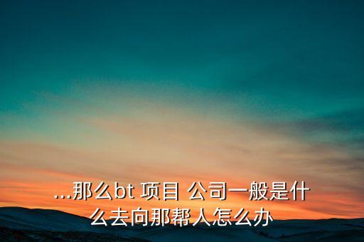 哪些公司可以做BT項(xiàng)目