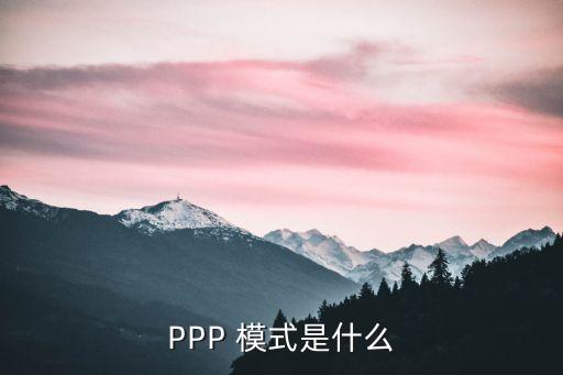 PPP 模式是什么