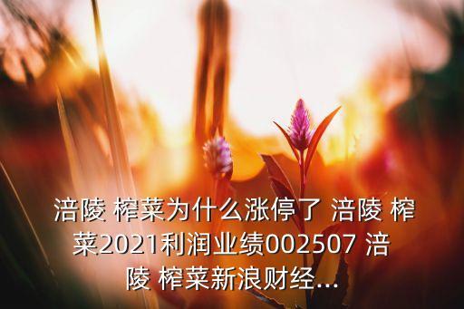  涪陵 榨菜為什么漲停了 涪陵 榨菜2021利潤業(yè)績002507 涪陵 榨菜新浪財經...