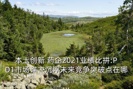 跨國藥企中國銷售額,2022藥企銷售額