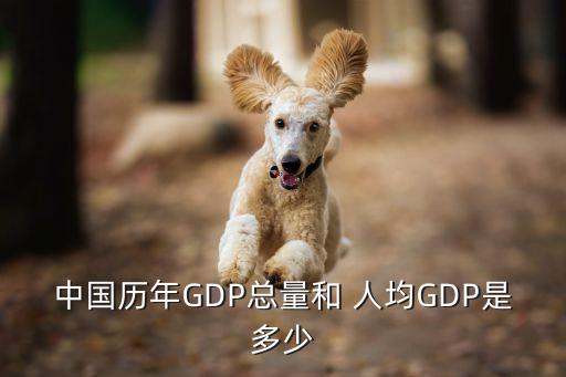 中國歷年GDP總量和 人均GDP是多少