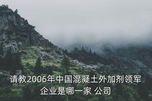 請教2006年中國混凝土外加劑領(lǐng)軍企業(yè)是哪一家 公司