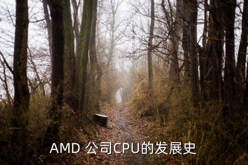 cpu上市公司,CPU上市公司炬芯科技