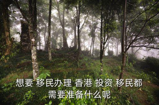 想要 移民辦理 香港 投資 移民都需要準(zhǔn)備什么呢