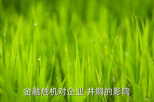 tcl并購(gòu)法國(guó)湯姆遜公司,TCL并購(gòu)湯姆遜的情況介紹