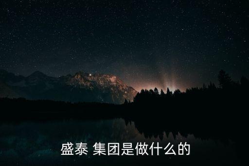  盛泰 集團(tuán)是做什么的