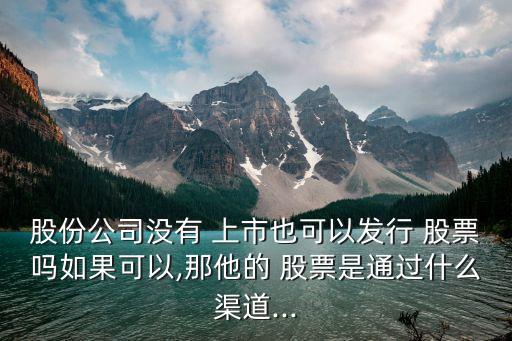 股份公司沒有 上市也可以發(fā)行 股票嗎如果可以,那他的 股票是通過什么渠道...