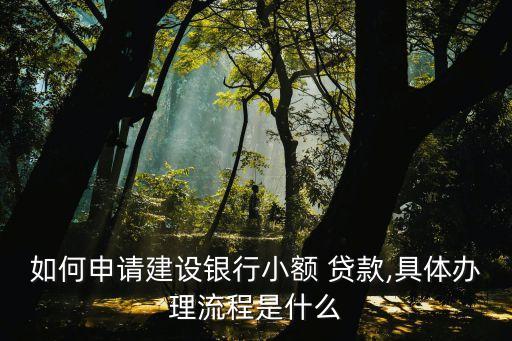 如何申請建設(shè)銀行小額 貸款,具體辦理流程是什么