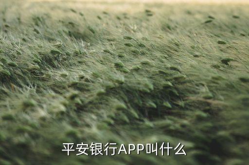 平安銀行APP叫什么