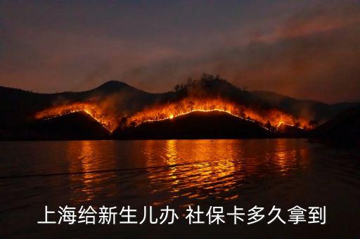 上海社保卡領(lǐng)取時(shí)間,外地人上海社?？I(lǐng)取流程