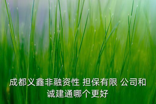 成都義鑫非融資性 擔(dān)保有限 公司和誠建通哪個更好