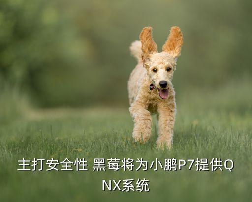 主打安全性 黑莓將為小鵬P7提供QNX系統(tǒng)