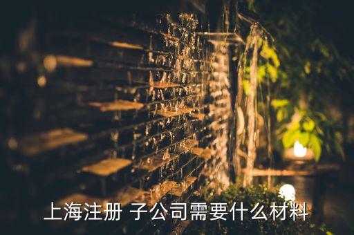 成立子公司可行性報告,成立協(xié)會可行性報告