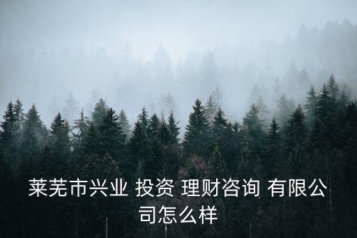 萊蕪市興業(yè) 投資 理財(cái)咨詢 有限公司怎么樣