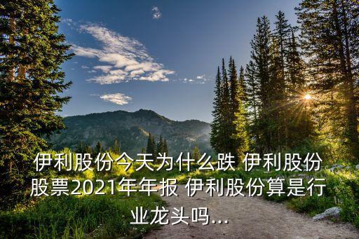  伊利股份今天為什么跌 伊利股份 股票2021年年報(bào) 伊利股份算是行業(yè)龍頭嗎...