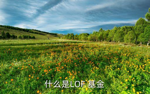 lof基金和開(kāi)放式基金,基金lof和etf區(qū)別