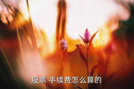 股票 手續(xù)費(fèi)怎么算的