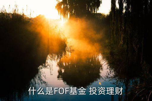 什么是FOF基金 投資理財