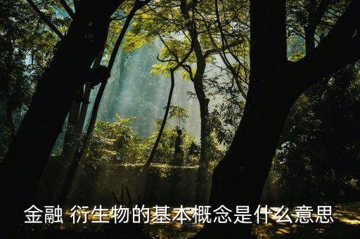 金融 衍生物的基本概念是什么意思