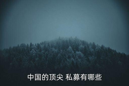 中國的頂尖 私募有哪些