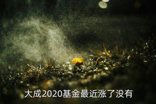  大成2020基金最近漲了沒有