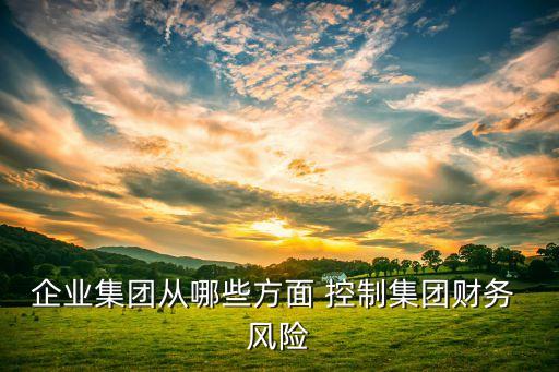 子公司的風(fēng)險(xiǎn)控制