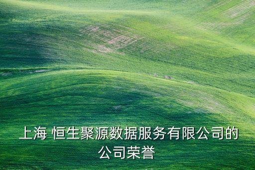  上海 恒生聚源數(shù)據(jù)服務(wù)有限公司的公司榮譽