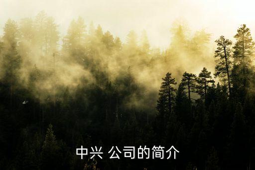 中興 公司的簡(jiǎn)介