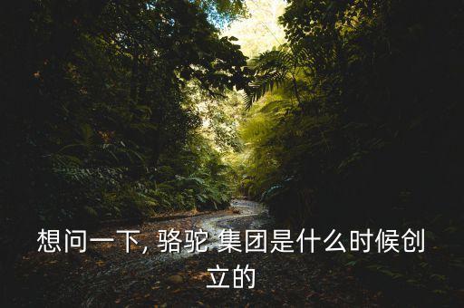 想問一下, 駱駝 集團(tuán)是什么時候創(chuàng)立的