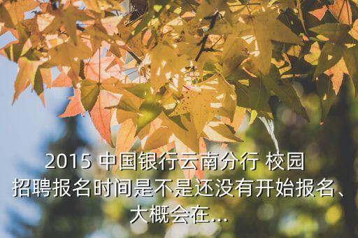 2015 中國(guó)銀行云南分行 校園 招聘報(bào)名時(shí)間是不是還沒有開始報(bào)名、大概會(huì)在...