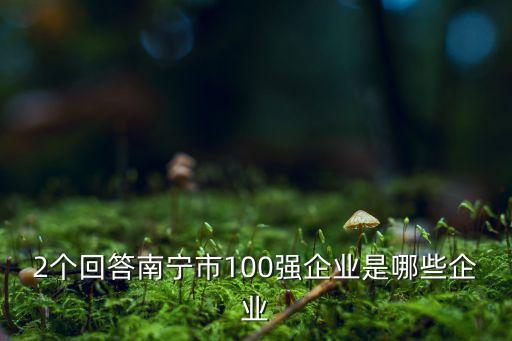 2個回答南寧市100強企業(yè)是哪些企業(yè)