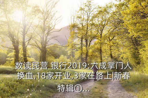 數讀民營 銀行2019:六成掌門人換血,18家開業(yè),3家在路上|新春特輯①...