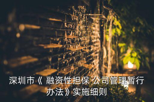 深圳市《 融資性擔(dān)保 公司管理暫行辦法》實(shí)施細(xì)則