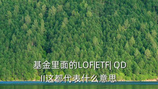  基金里面的LOF|ETF| QDII這都代表什么意思