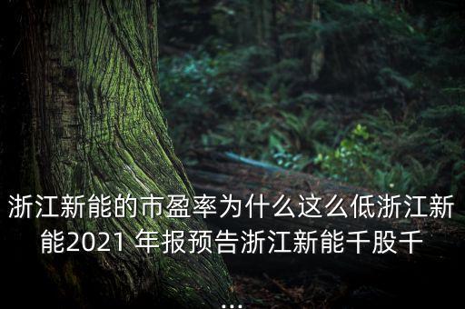 浙江新能的市盈率為什么這么低浙江新能2021 年報(bào)預(yù)告浙江新能千股千...