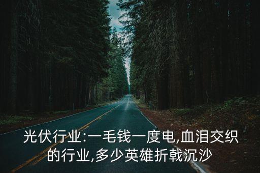  光伏行業(yè):一毛錢一度電,血淚交織的行業(yè),多少英雄折戟沉沙