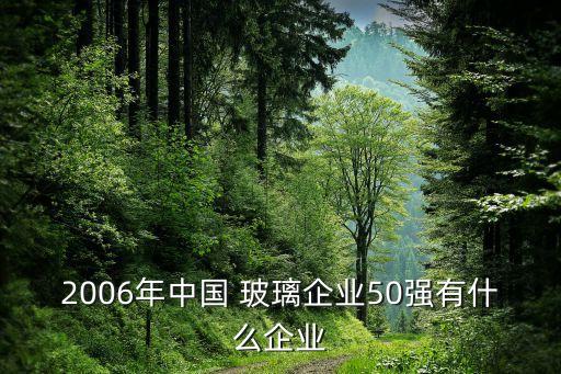 2006年中國(guó) 玻璃企業(yè)50強(qiáng)有什么企業(yè)