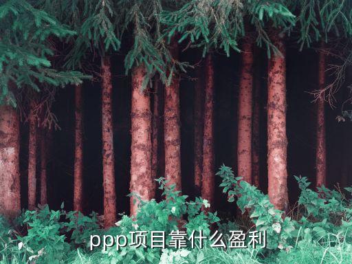  ppp項目靠什么盈利