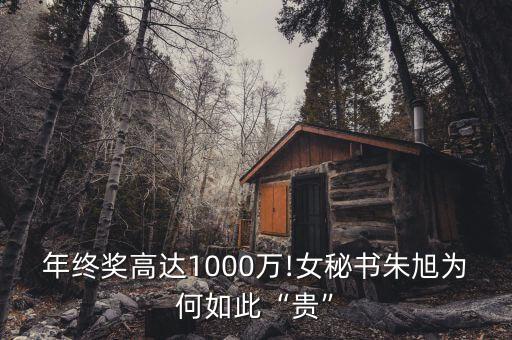 年終獎(jiǎng)高達(dá)1000萬(wàn)!女秘書朱旭為何如此“貴”