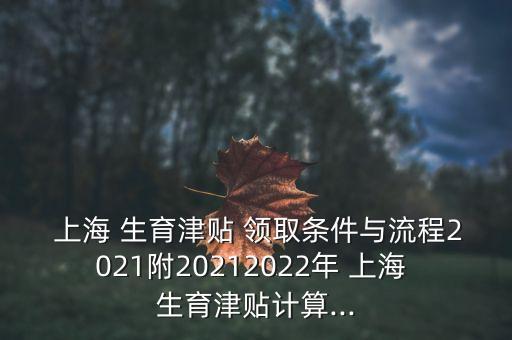  上海 生育津貼 領(lǐng)取條件與流程2021附20212022年 上海 生育津貼計算...