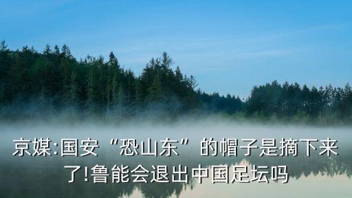 京媒:國(guó)安“恐山東”的帽子是摘下來(lái)了!魯能會(huì)退出中國(guó)足壇嗎