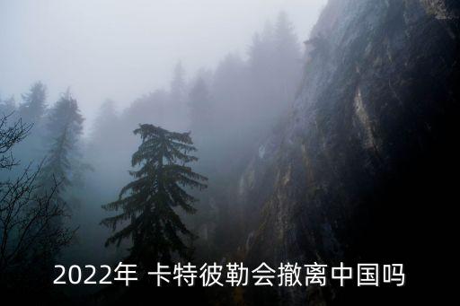 2022年 卡特彼勒會(huì)撤離中國嗎