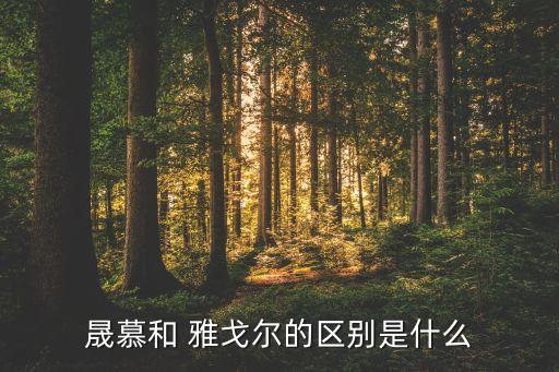 晟慕和 雅戈爾的區(qū)別是什么